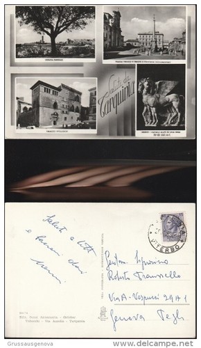 2466 provincia viterbo saluti - provincia,
