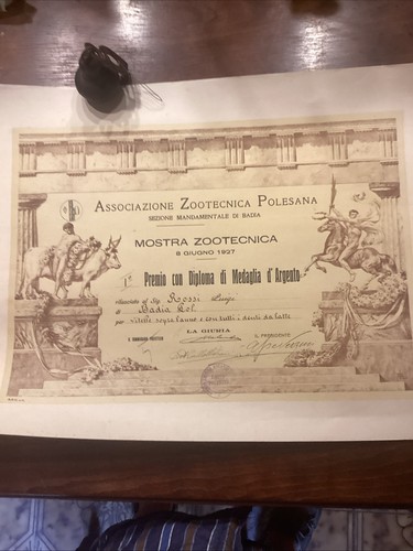 Diploma premio mostra - diploma,
